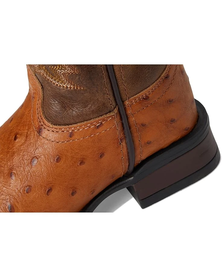 Roper Kids Garza (Toddler/Little Kid) | Boots 8 Roper Kids Garza (Toddler/Little Kid) | Boots - Image 6